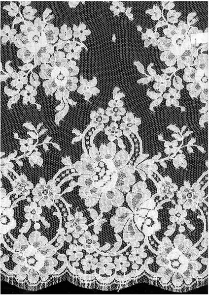 FRENCH LACE - IVORY